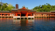 12-Ile Miyajima (17)